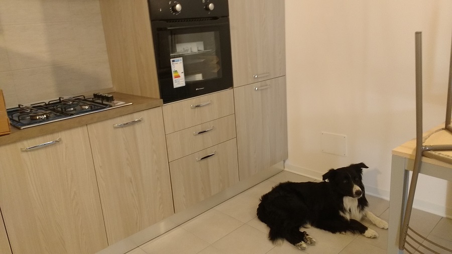 IMG 20180810 160742073