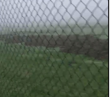 campo di calcio arato dai cinghiali 3