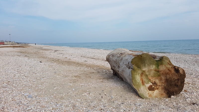 d6101678 ffb1 4846 a5ea 61ab81c904e1