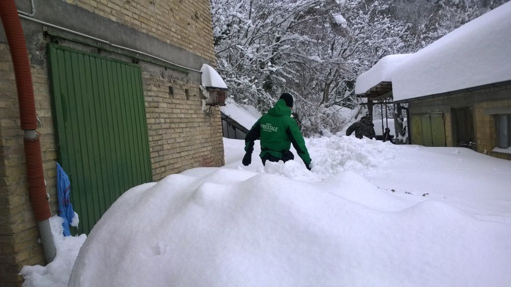 foto repertorio forestali presso abitazione isolata