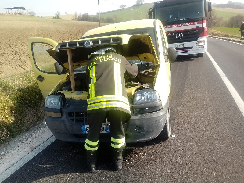 incidente auto