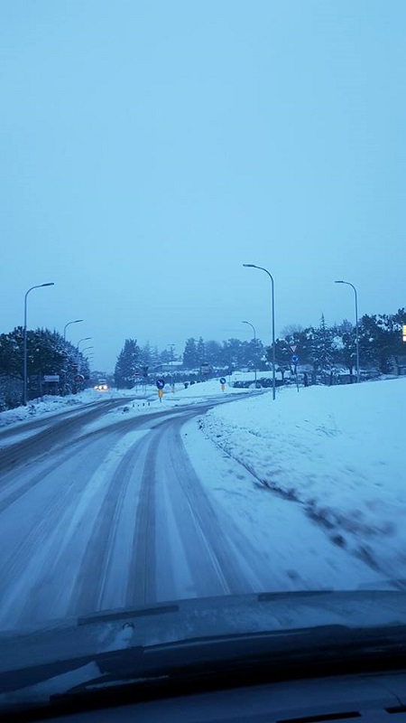 neve 2