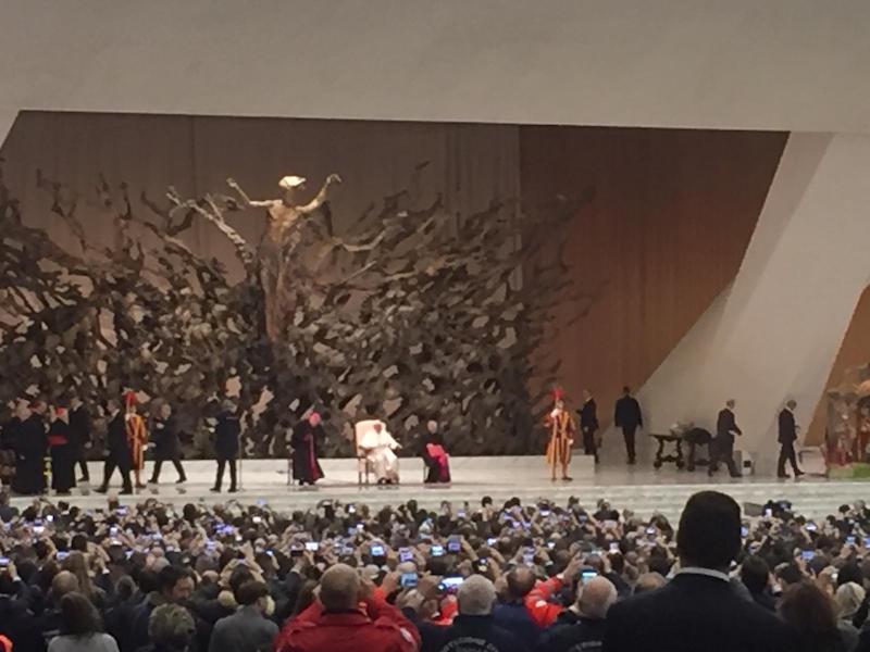 udienza Papa6