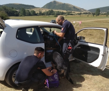 Montelago Celtic Festival: Denunciati 40 giovani sorpresi dal cane Yago con la droga.