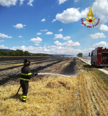 Fiamme a Matelica in un campo coltivato ad orzo. A fuoco due ettari di coltura.