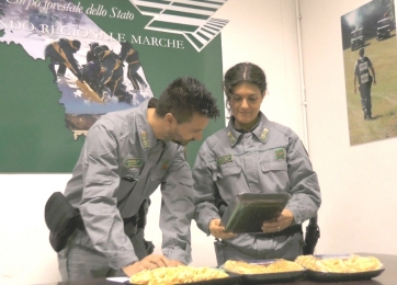 Sicurezza alimentare. Denunciato per frode in commercio produttore di pasta del maceratese