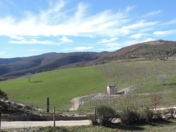 San Severino, il "caso" Boscorosso infiamma il consiglio comunale