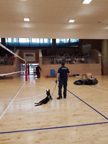 Ai Licei di Camerino 'alternanza scuola -lavoro' con l'unit&agrave; cinofila PC di Sefro