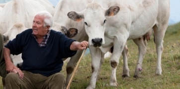 Gualdo- arrivano 100 quintali di fieno per la stalla crollata
