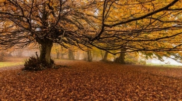 Canfaito, "parcheggi" al costo di 90 euro