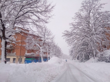 CAMERINO. PASQUI: &ldquo;I FIOCCHI CHE FANNO TRABOCCARE IL VASO&rdquo;