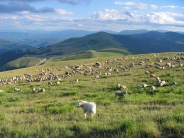 Vita dura per gli agricoltori del Parco dei Sibillini