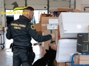 Sequestrati dalla Guardia di Finanza oltre 37 chili di marijuana pronti per essere spediti