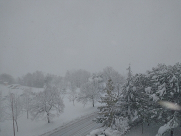 Raggiunte tutte le frazioni rimaste isolate