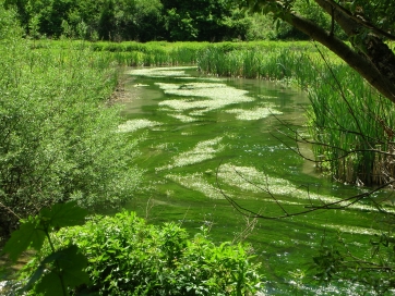 Il fiume Nera un bene vitale per le comunit&agrave; dei Sibillini.