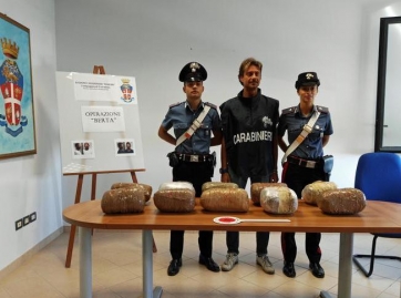 Oltre 10 Kg di marijuana in auto. Due arresti a San Severino Marche